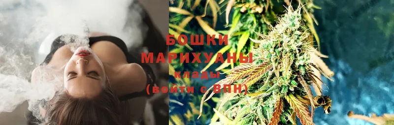 Марихуана Ganja  дарнет шоп  MEGA ССЫЛКА  Кашин 